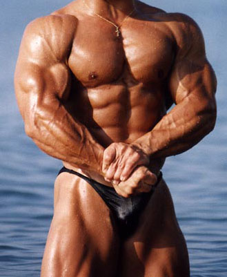 [Obrazek: bodybuilding.jpg]